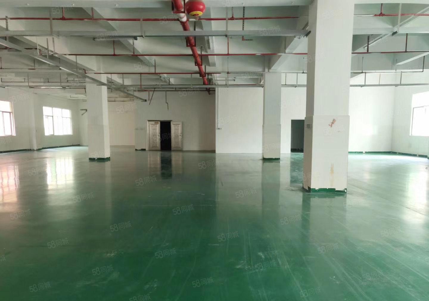 宝安西乡固戍独门独院标准厂房600平出租大小可分