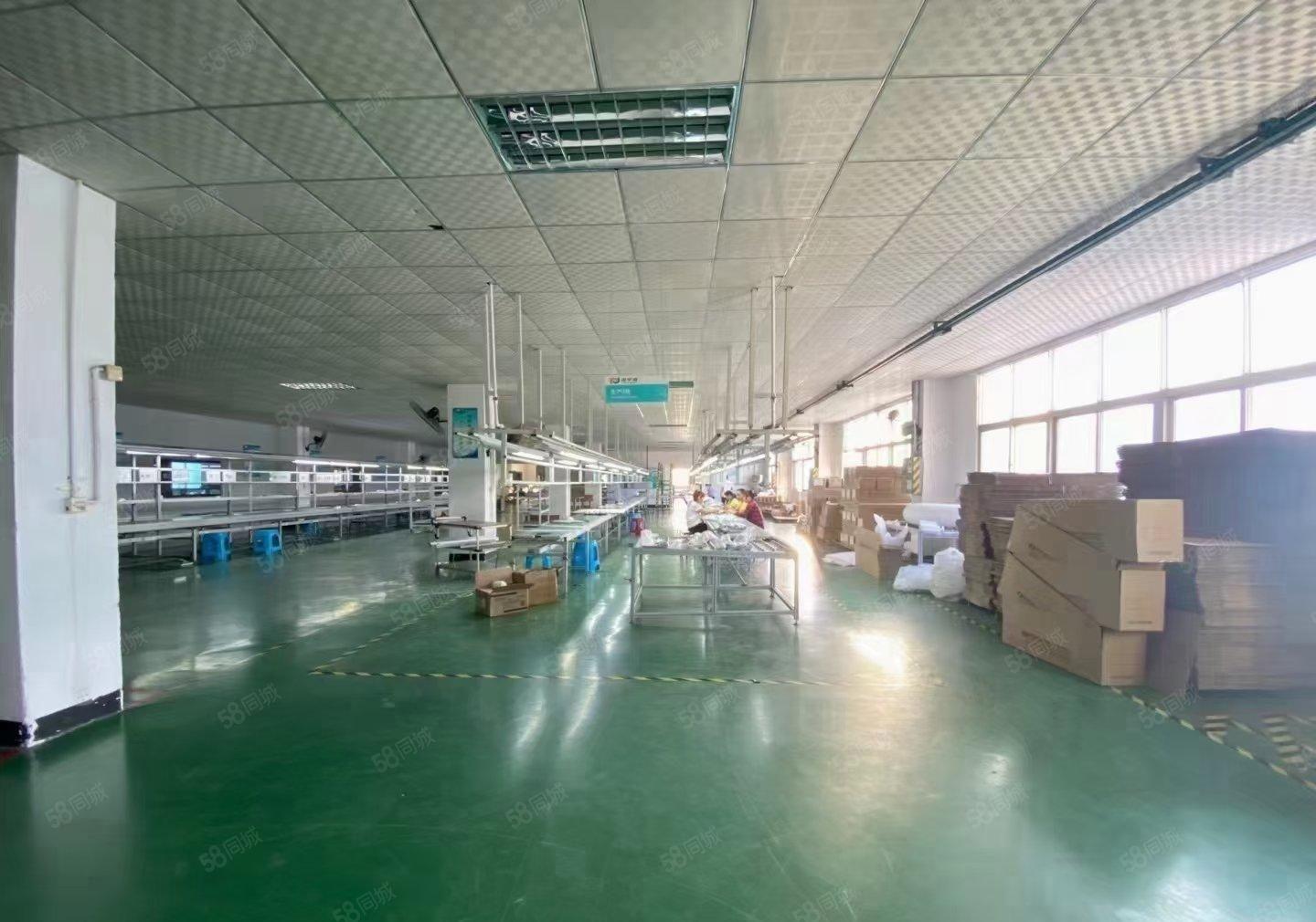 石岩石龙仔高新科技园2楼4900平精装修厂房可分租