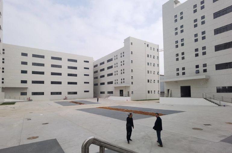 500平起租65000平松岗原房东厂房出租红本过环评实际出租