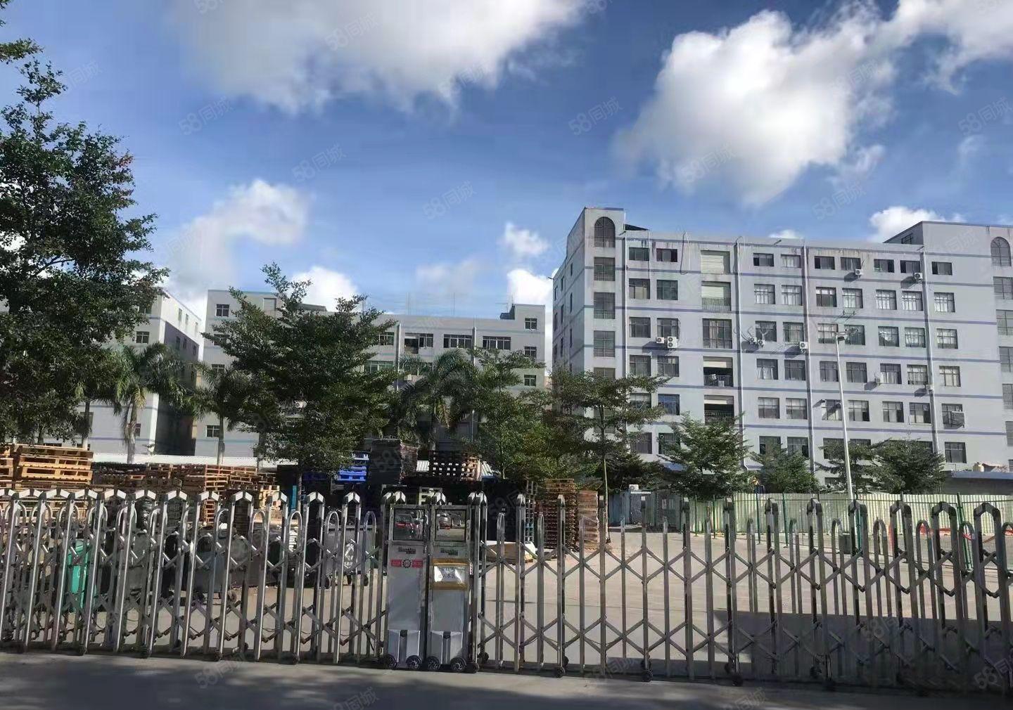 宝安机场附近中转仓迷你仓招租 空地大方便进出大货车