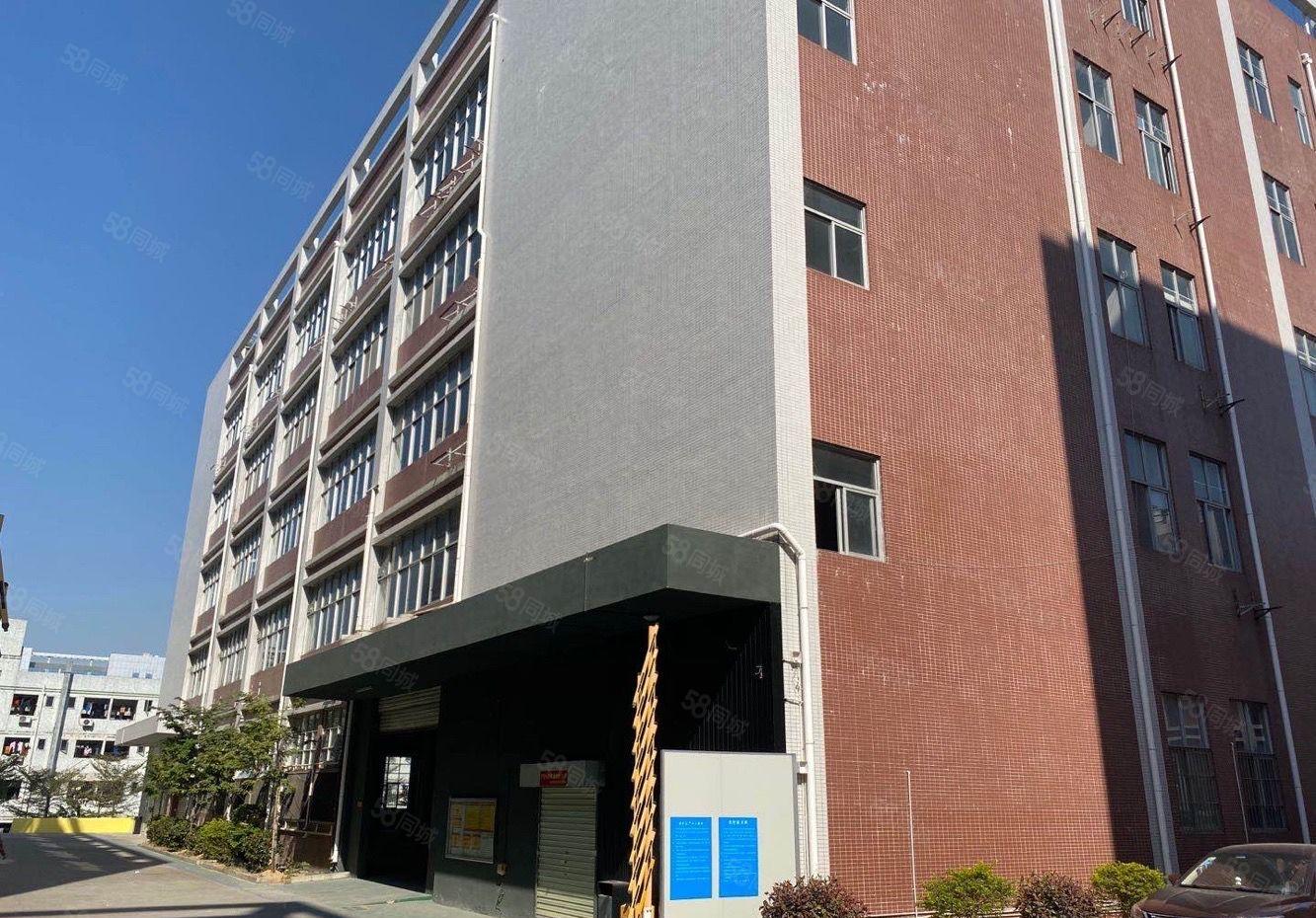 石岩石龙仔科技园整层2500平 环境优美 采光好