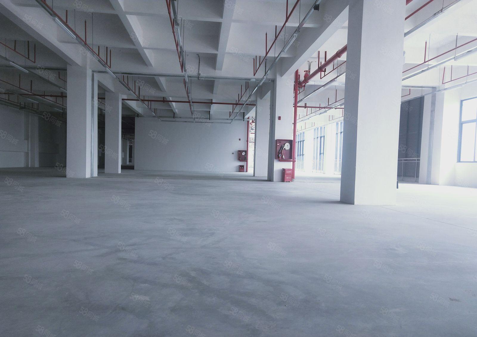 沙井后亭地铁口8800平方独栋厂房出租500平方起分租