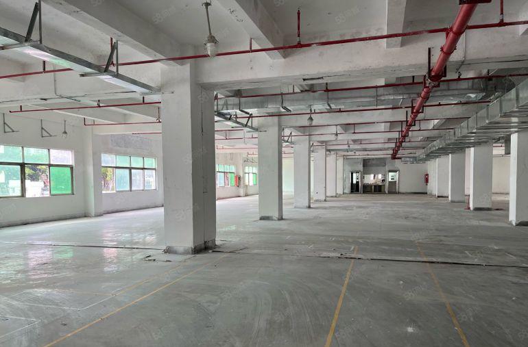 西乡固戍大型工业区厂房2500平米出租1250平起租