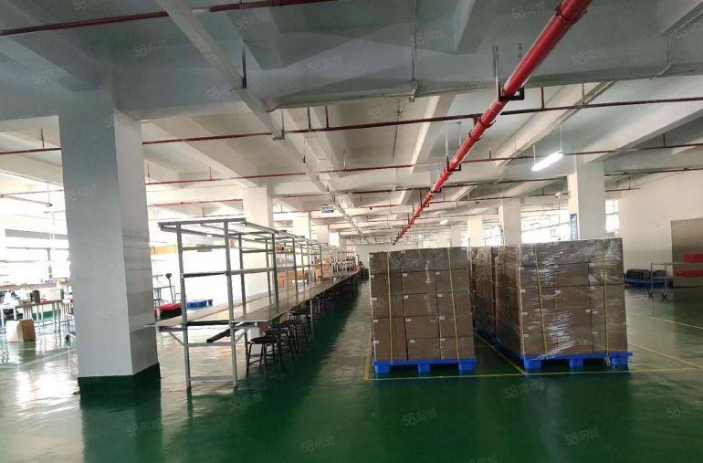 实惠实用精装整层2000平仅租33元每平水电到位即租即用