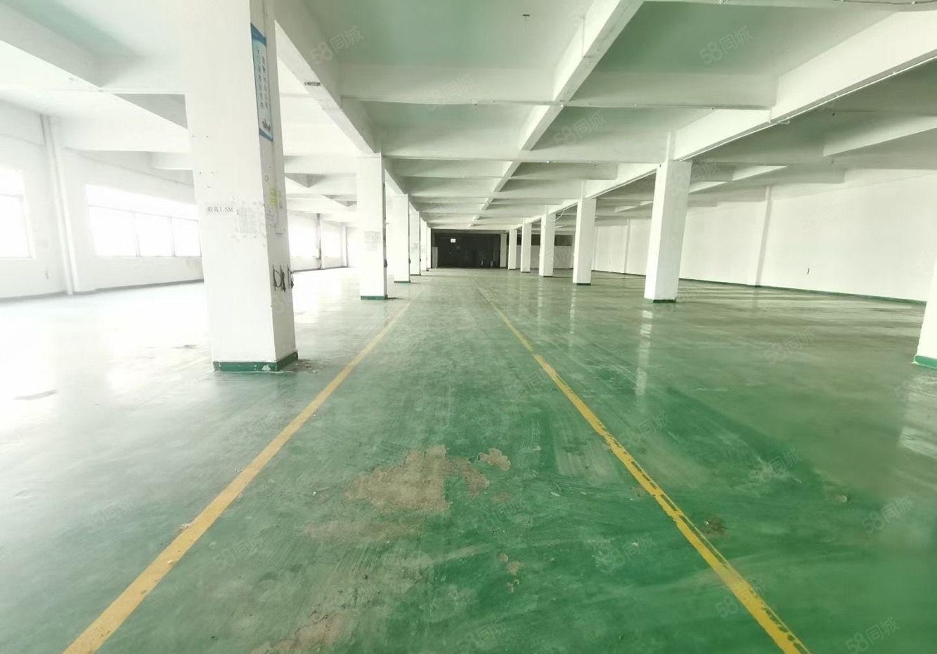 福永工业园低价厂房仓库整层3000平出租分租原房东独院