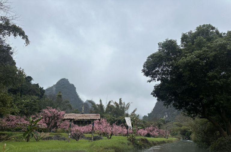 后亭地铁口花园式厂房 楼上小面积200平初创业的