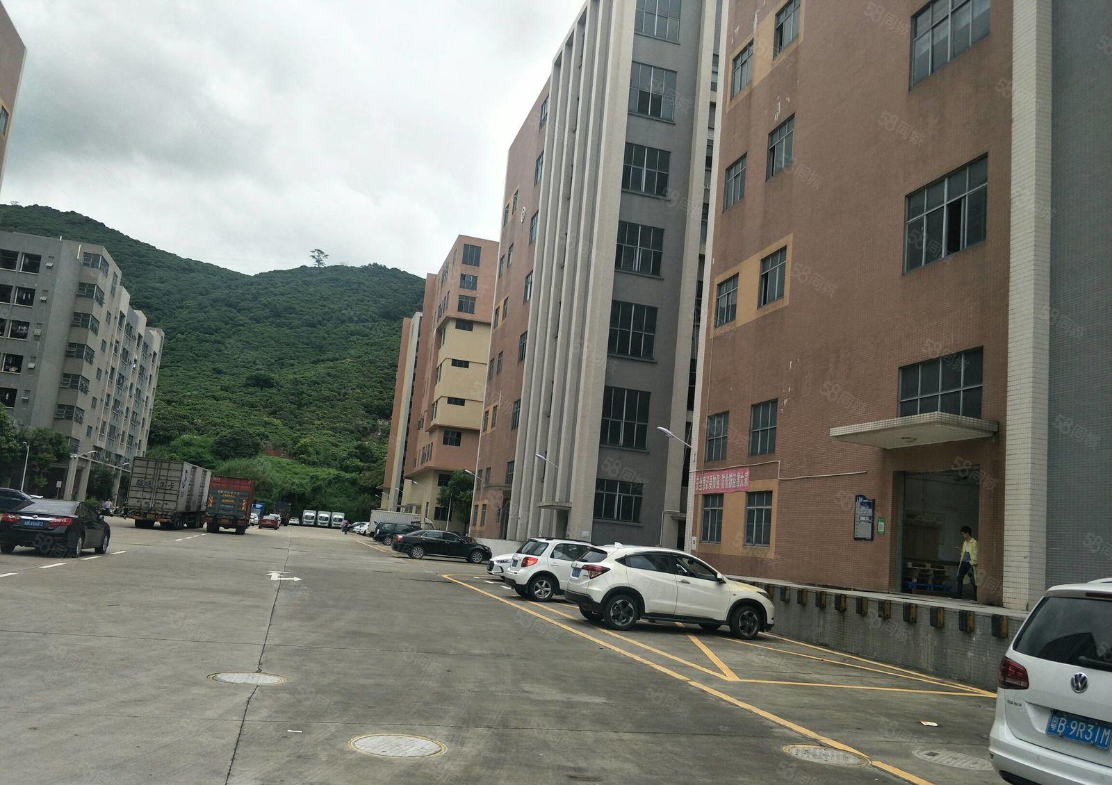 宝安西乡黄田大型工业园标准厂房1500平出租大小可分