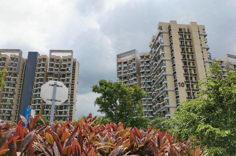 西乡新出原房东超长免租期6个月，200平起租