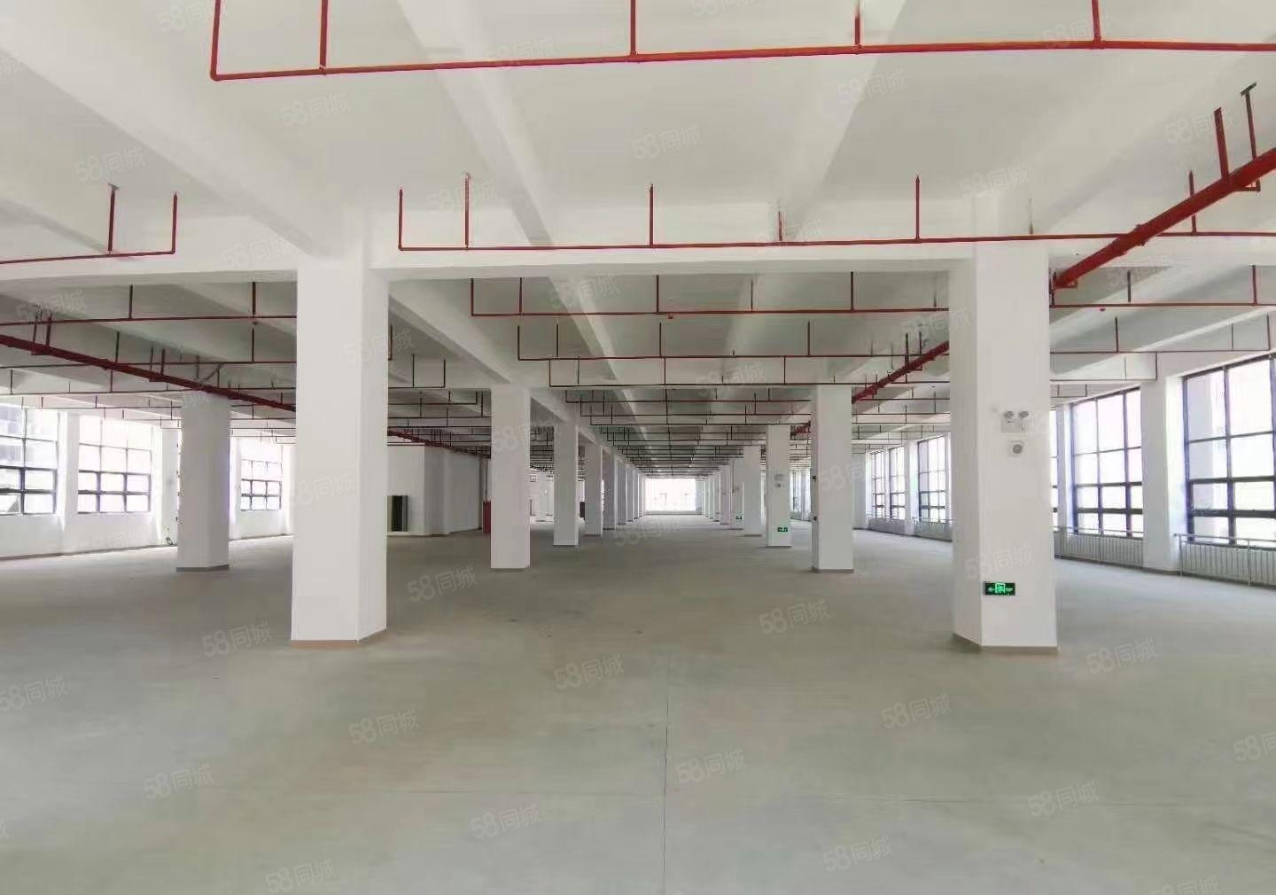 西乡精装修厂房1600至3700平方出租