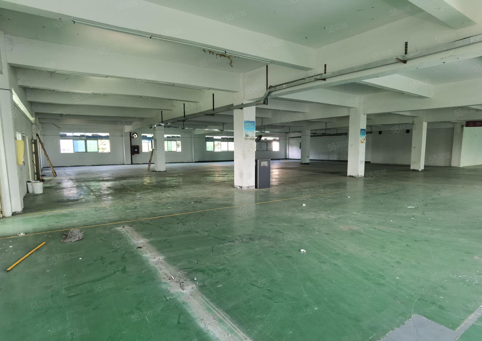 宝安石岩新出整层带红本厂房3700平，现成装修