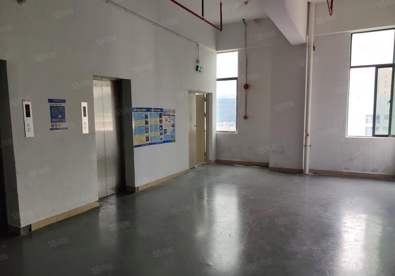 福永沙井附近原房东1000平精装修红本厂房仓库出租