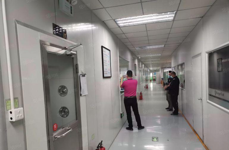 福永桥头新出原房东2000平带精装修厂房出租