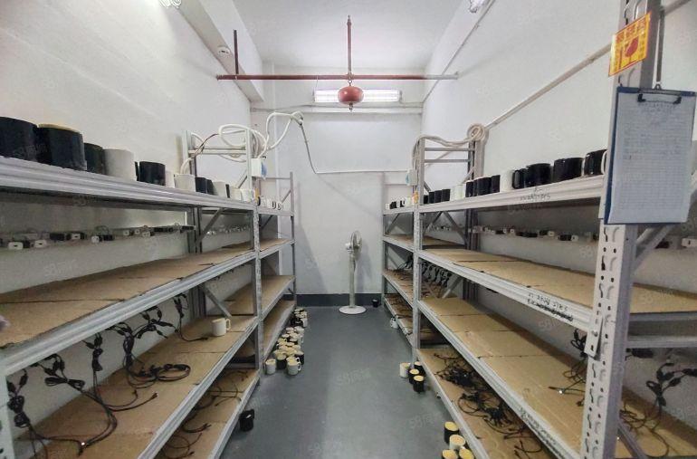 西乡，鹤洲大型工业园，楼上带装修650平厂房电到位，租金便宜