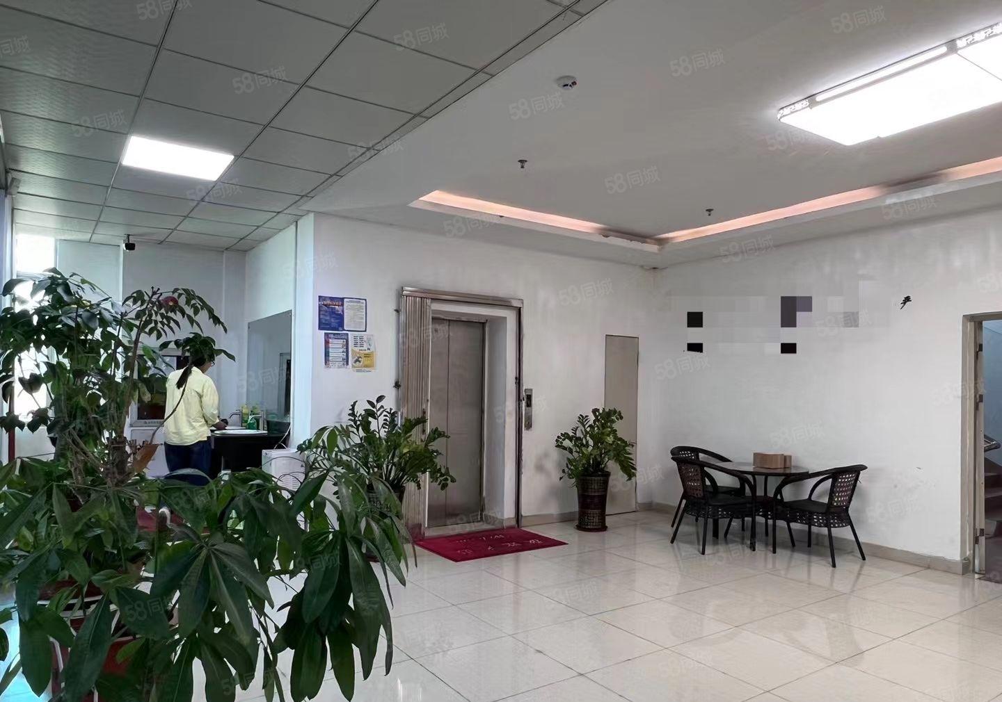 西乡桃源居新空出豪华装修无尘车间1700平原房东直租带红本