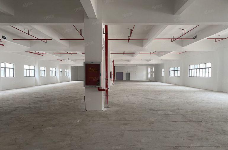 松岗原房东红本独院带卸货平台，共7栋55000平，3吨大货梯