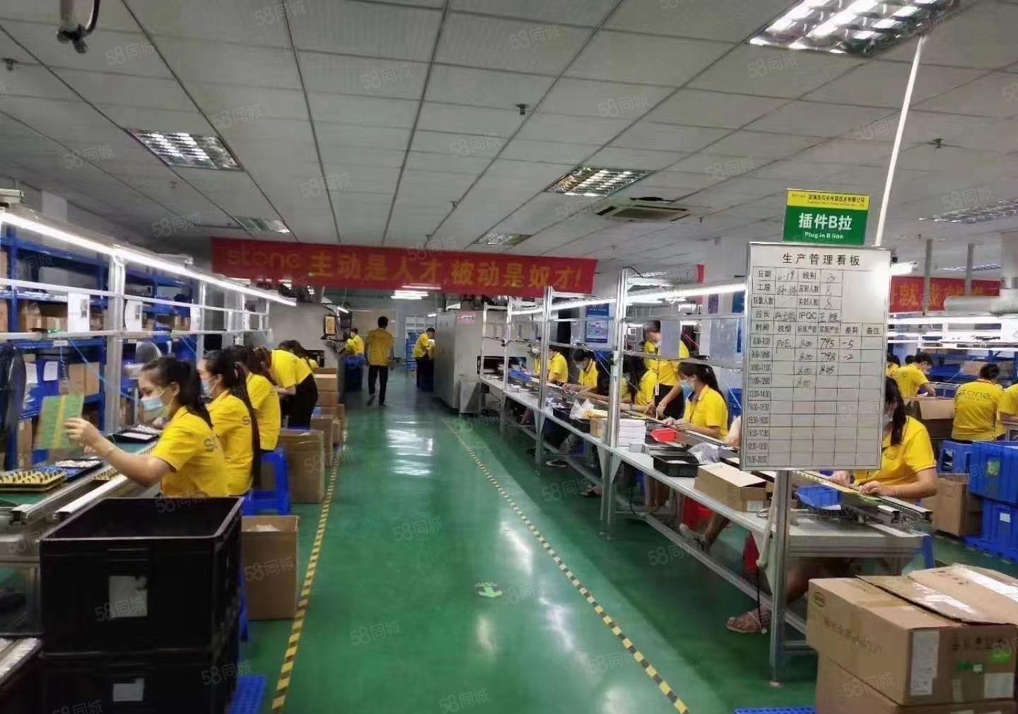 大型园区标准厂房带无尘车间1500平出租