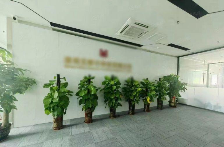 石岩石龙仔工业园原房东精装修办公室厂房1000平200平起租