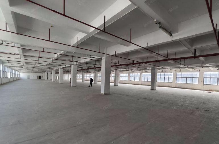 西乡固戍原房东2000平方带装修厂房出租可以分租