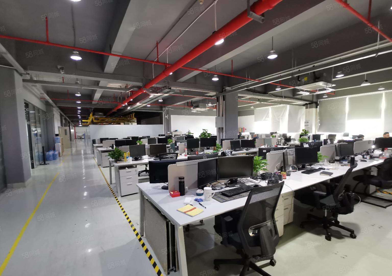 兴东整层1800平原房东红本厂房精装修车间办公室园区形象好
