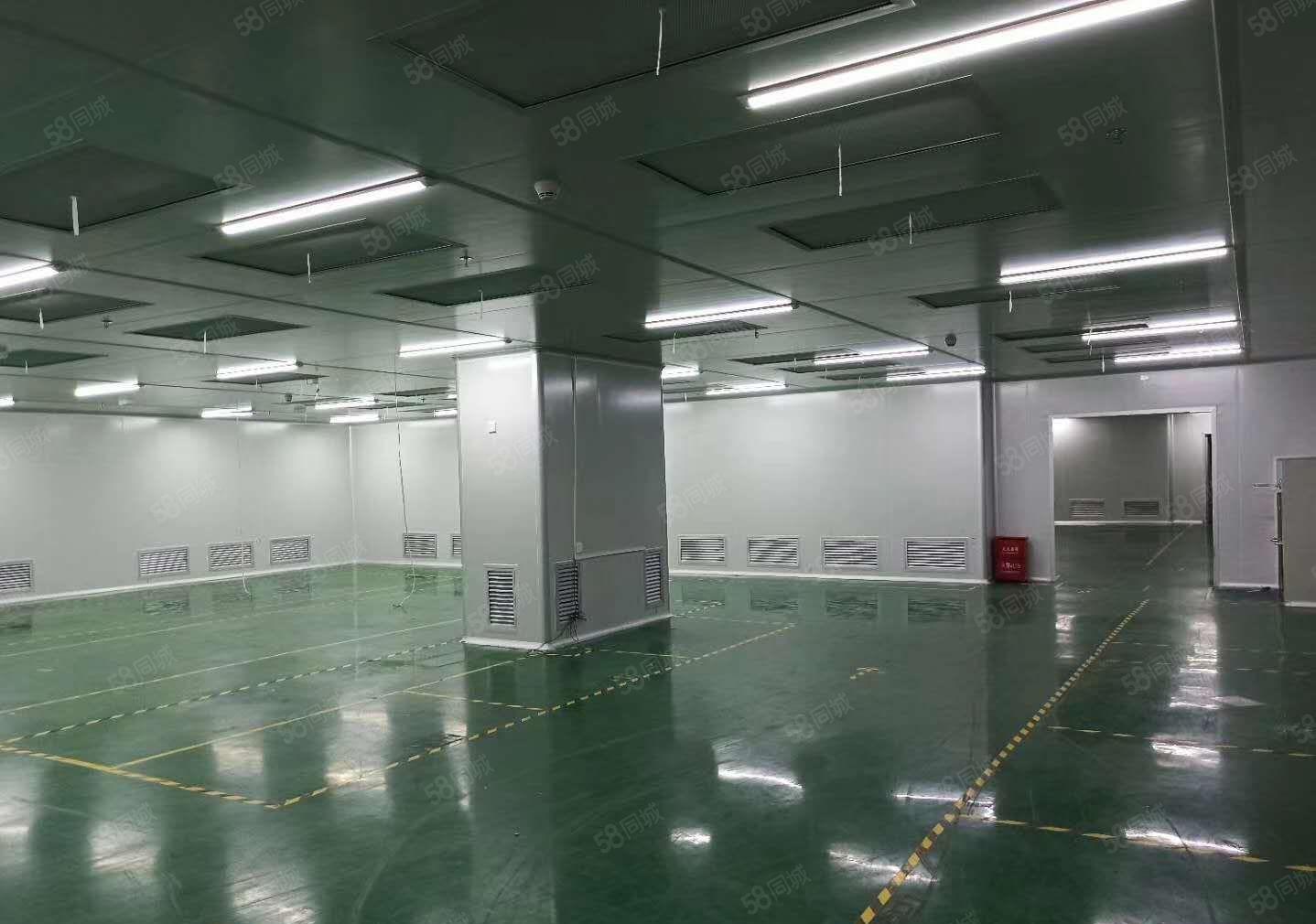 松岗107国道附近原房东红本两层楼独院厂房3200平方