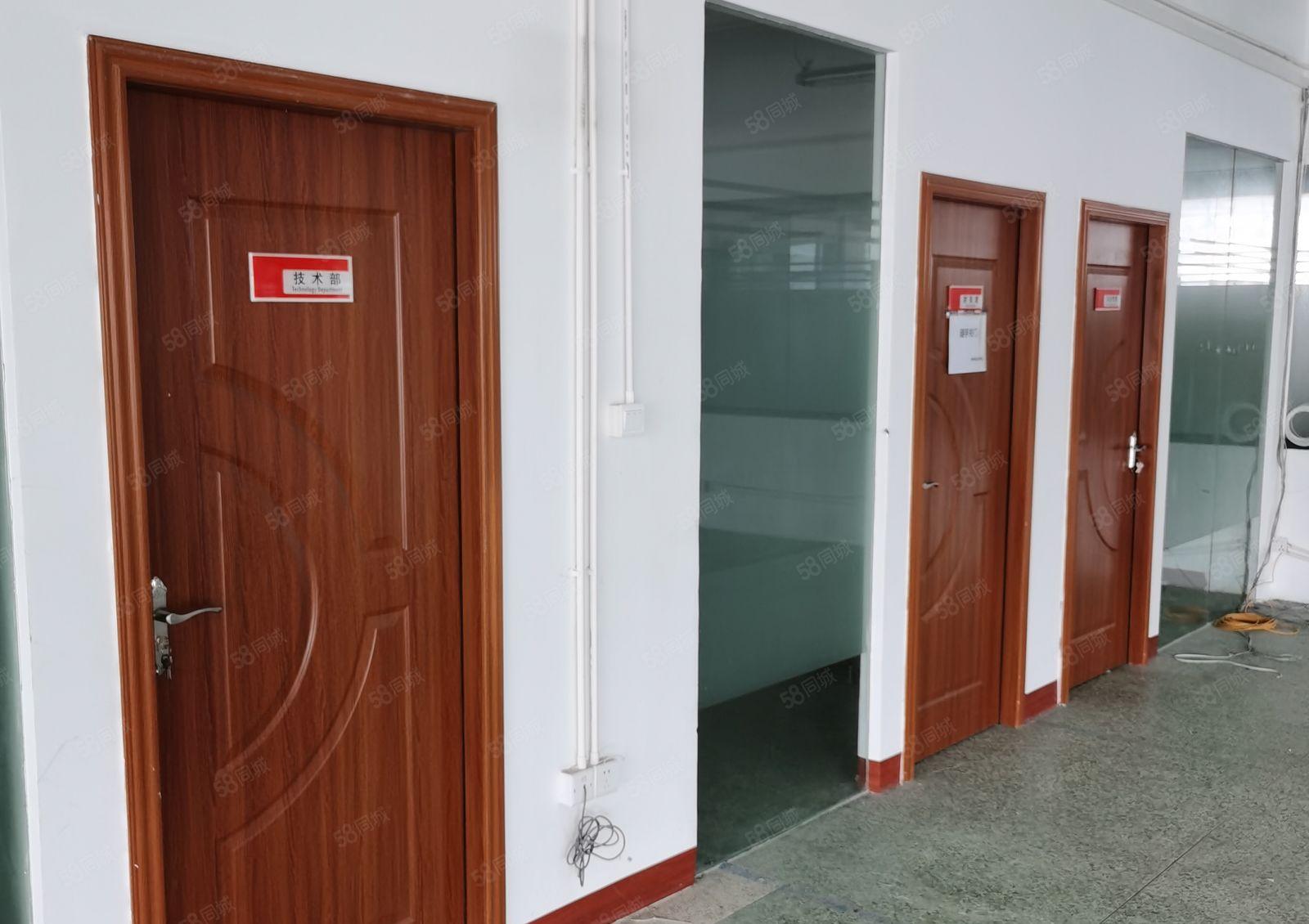 多规格厂房365平565平1260平精装出租