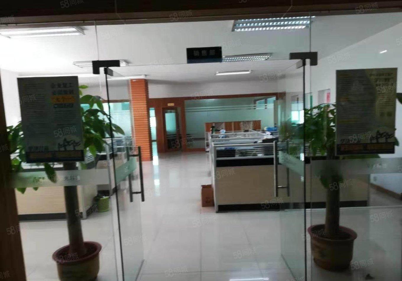 沙井新桥工业园厂房1000平方，临近107国道