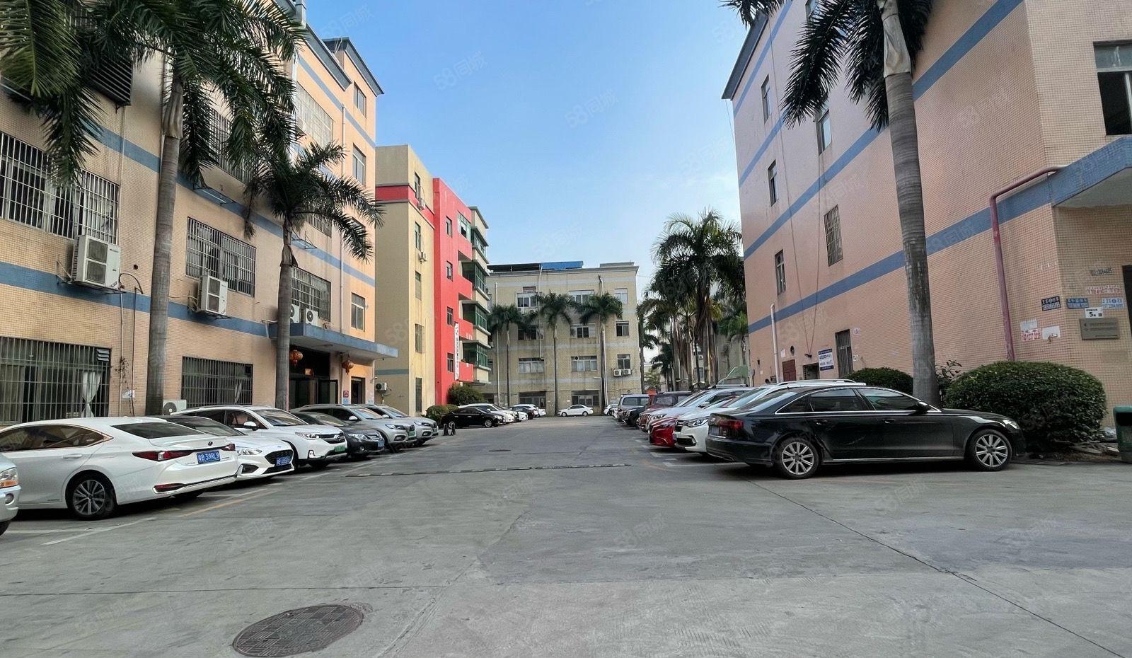 石岩原房东工业园2000平方可分租500平方起仓库厂房出租