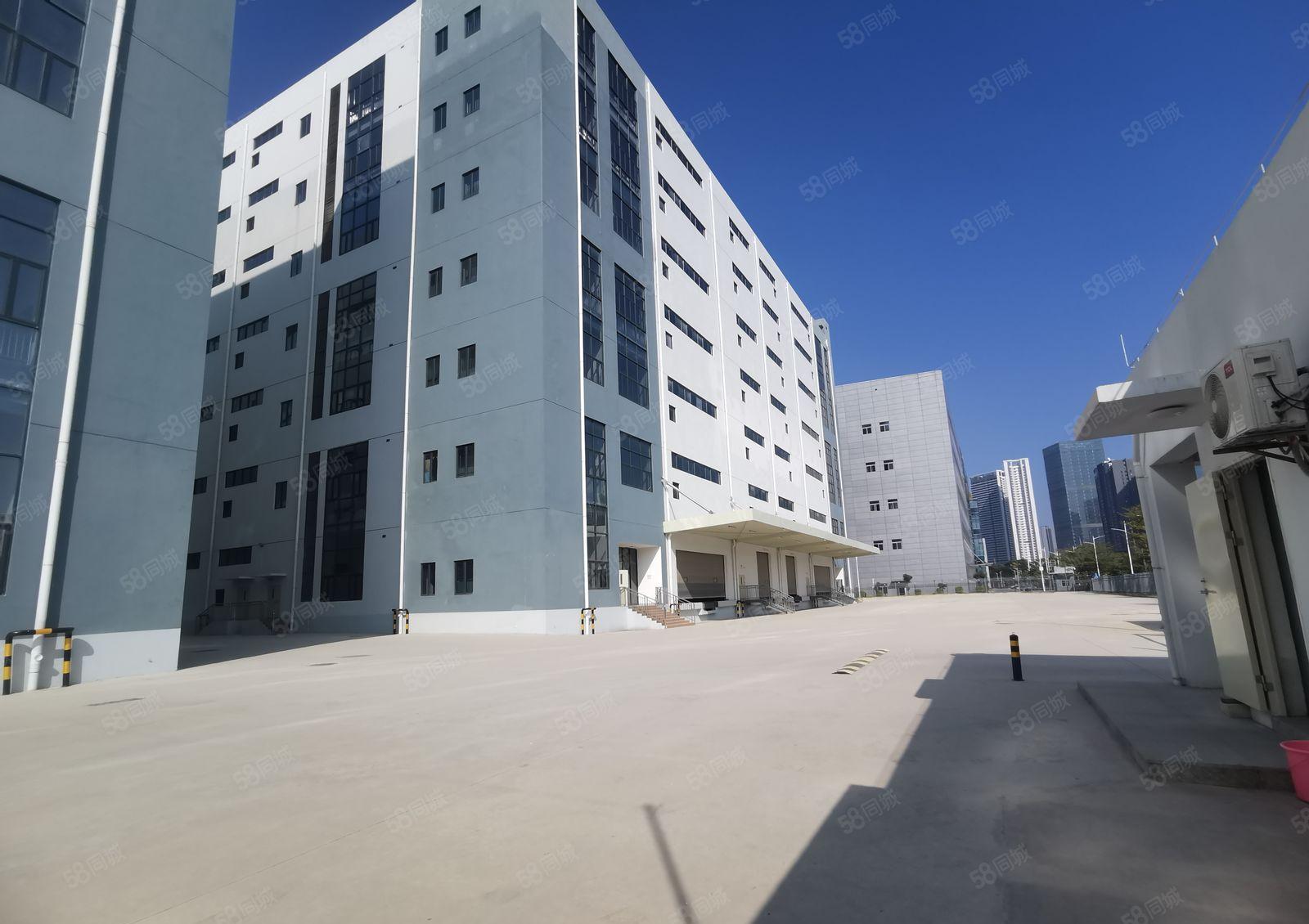 光明新区原房东新建红本高标仓物流厂房总面积约13万厂房招租