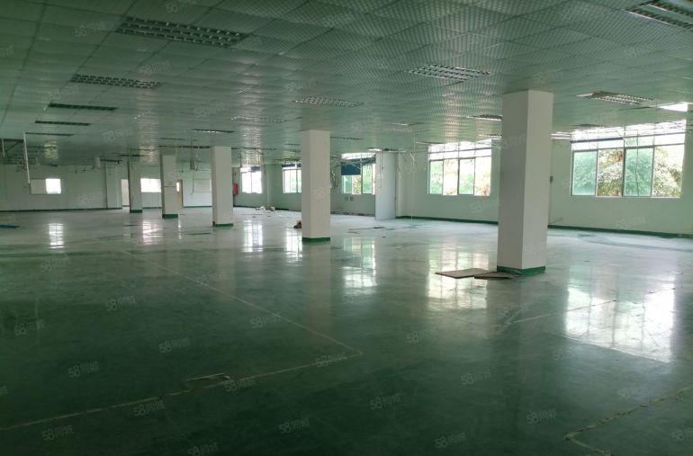 沙井街道大王山附近原房东红本独院厂房693平方出租