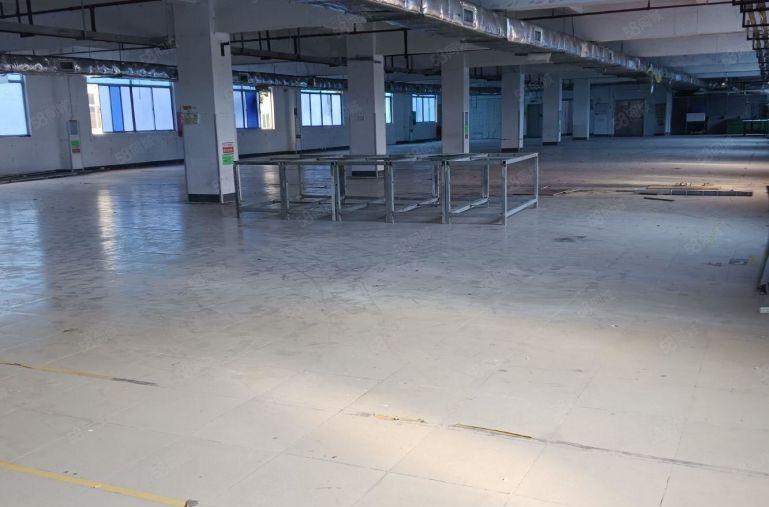 西乡鹤洲大型工业园楼上整层5700平可独立租1900平25元