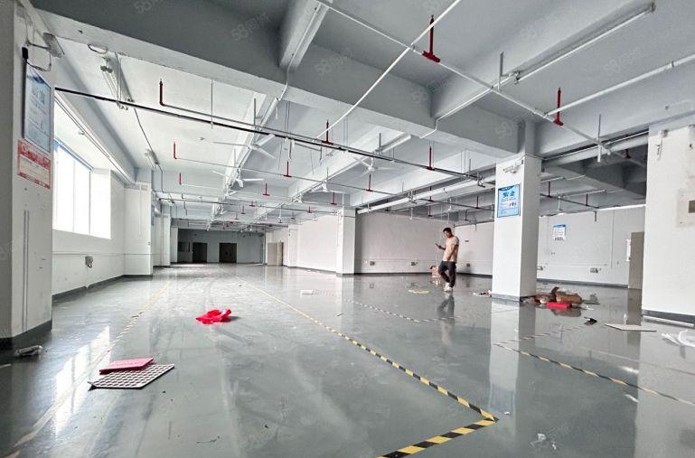 石岩新出上屋地铁口楼上1200平米精装修办公研发仓库厂房出租