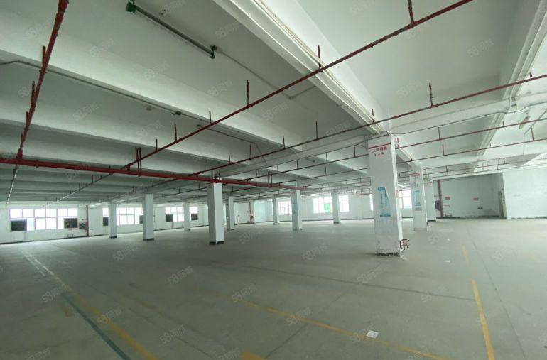 沙井村委直租5栋四层每栋5400平方可分栋出租围院子重新翻新