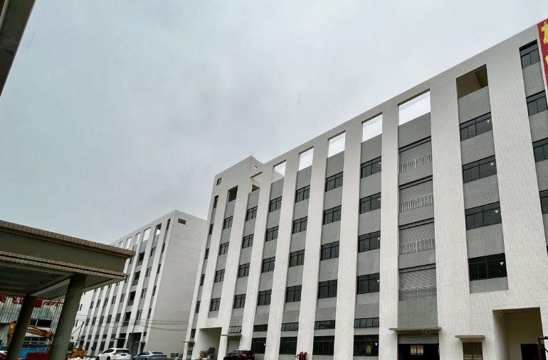 后亭步涌共和大型工业园区厂房60000平方出租500起分租