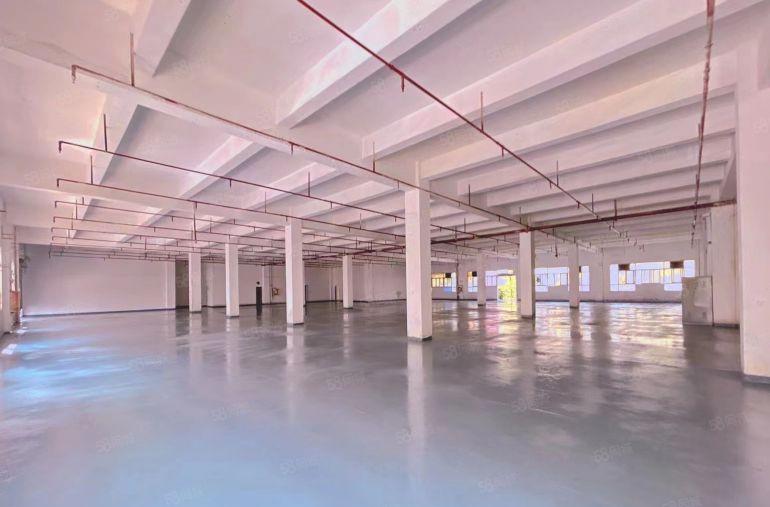 福永原房东工业园精装修厂房出租直租300平电商办公仓库分租