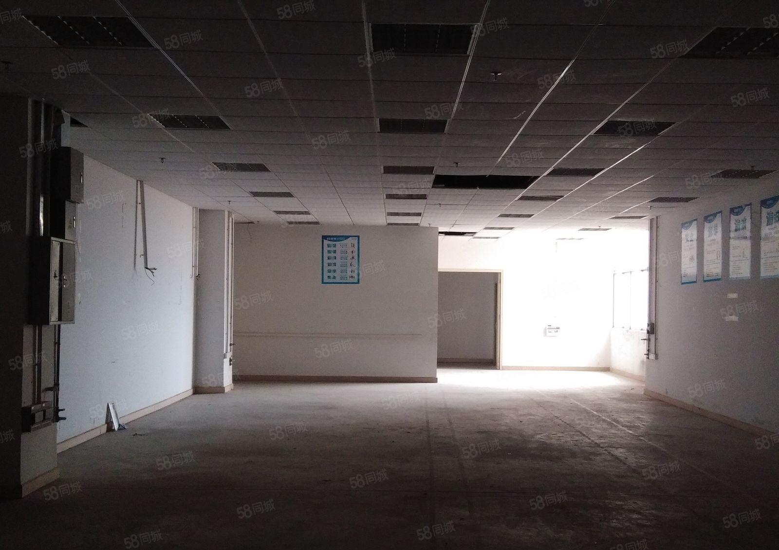 西乡村委无公摊 一手厂房1500平