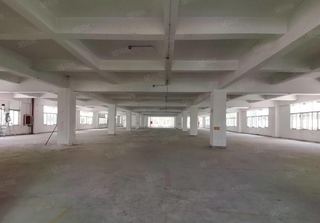 宝安松岗原房东红本独院厂房30000平合同10年高速口