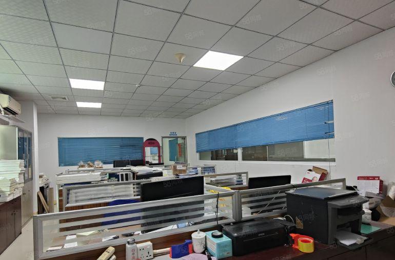 实惠实用靓丽园区红本厂房800平靓装到位水电在线即租即用