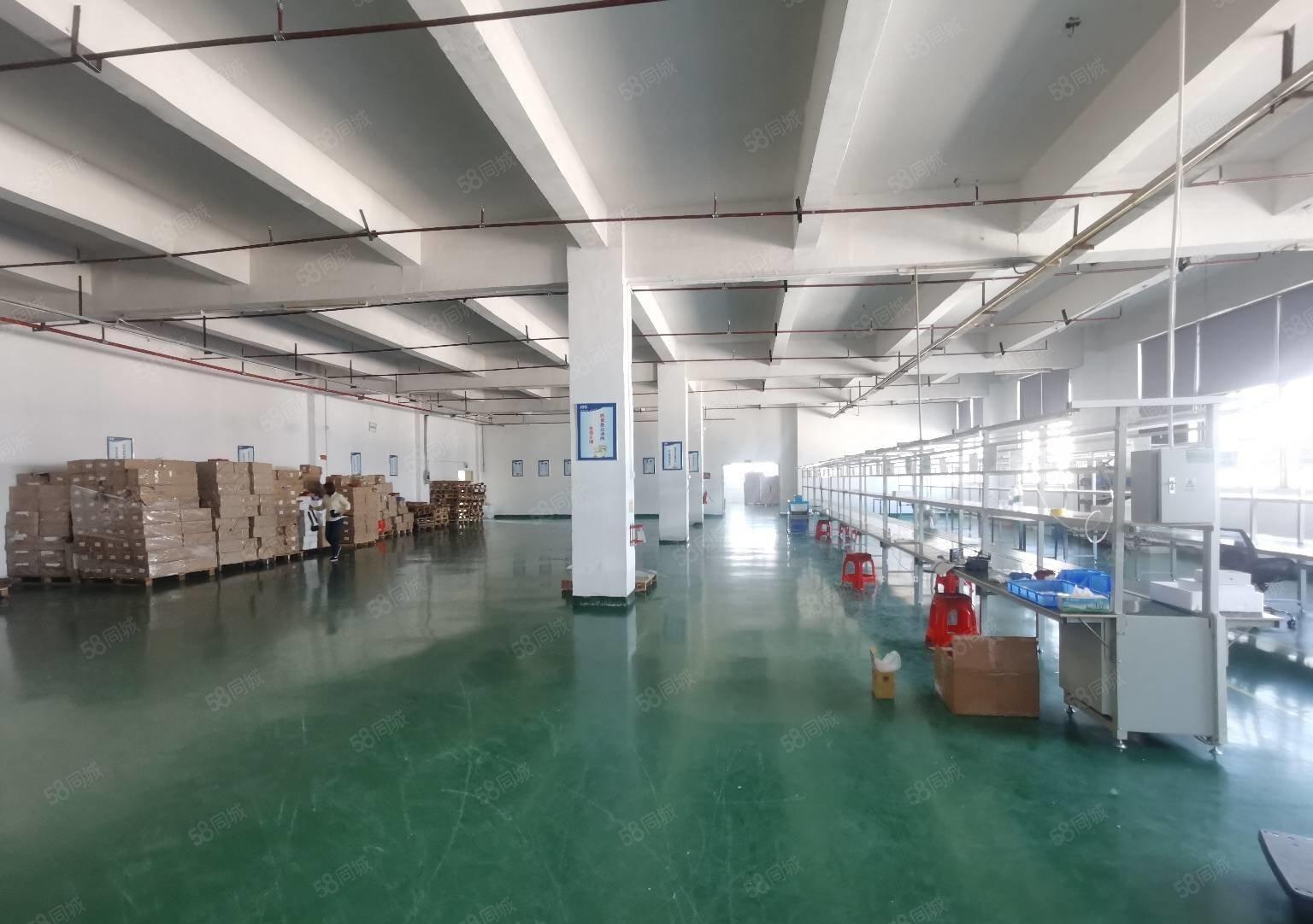 石岩塘头第三工业区二楼整层2400平精装修厂房低价出租可分租