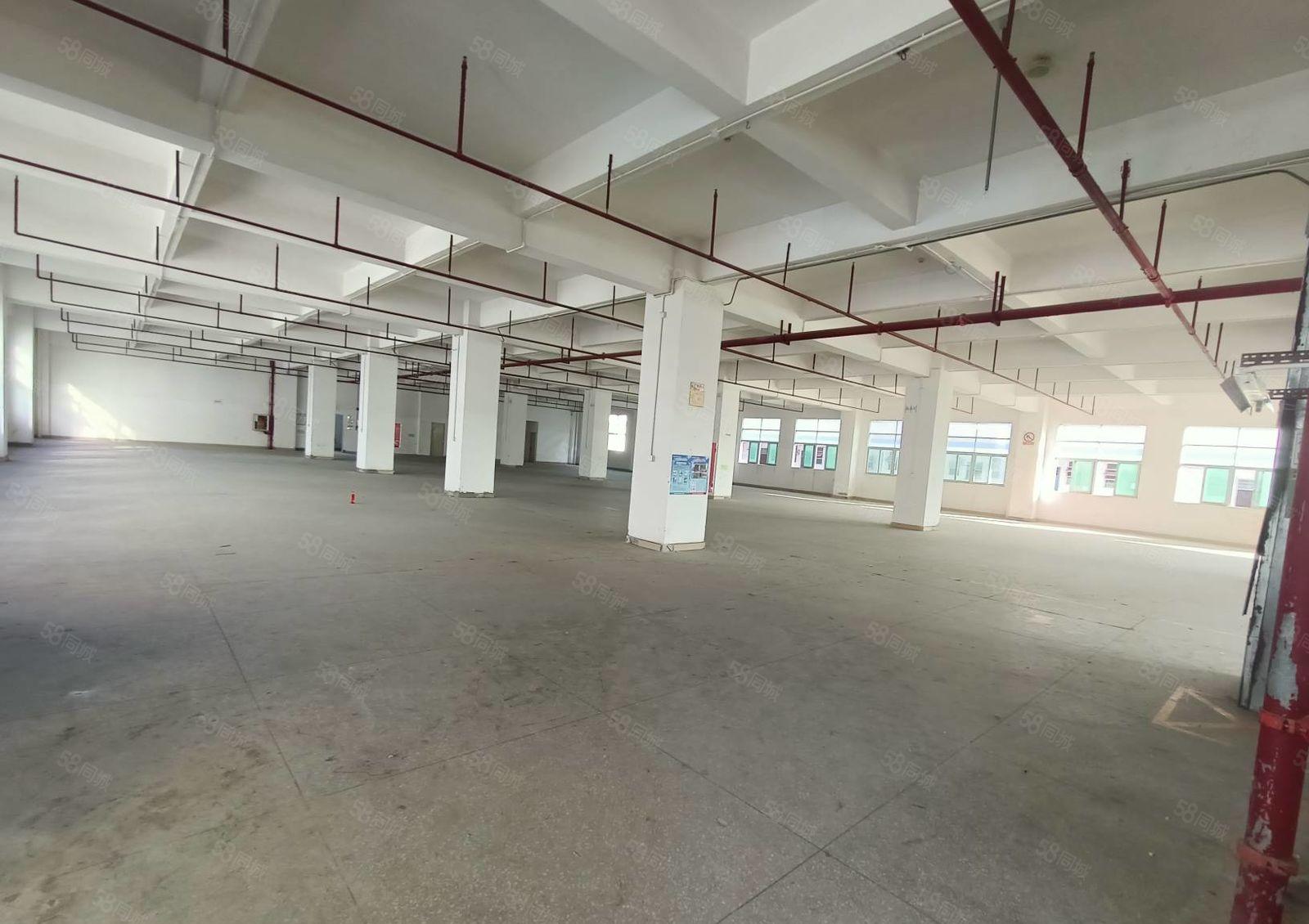 500平分租石岩独院厂房仓库出租每层3000平可办环评原房东