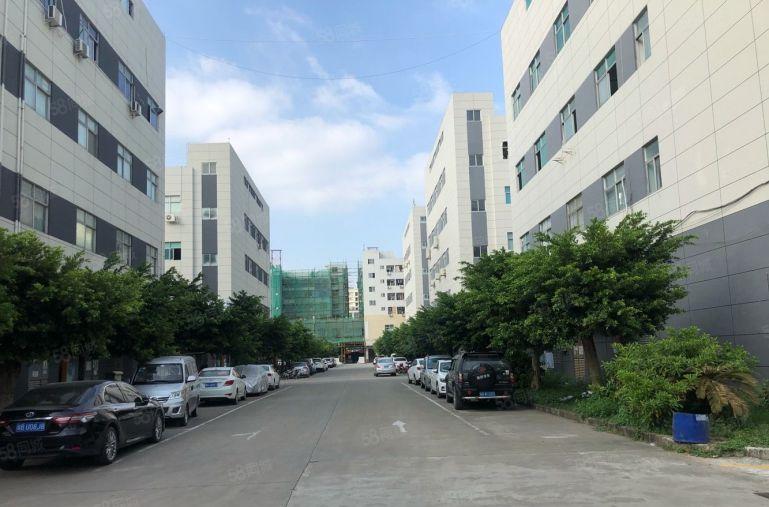 松岗大田洋1500平低价带装修厂房仓库出租分租500起