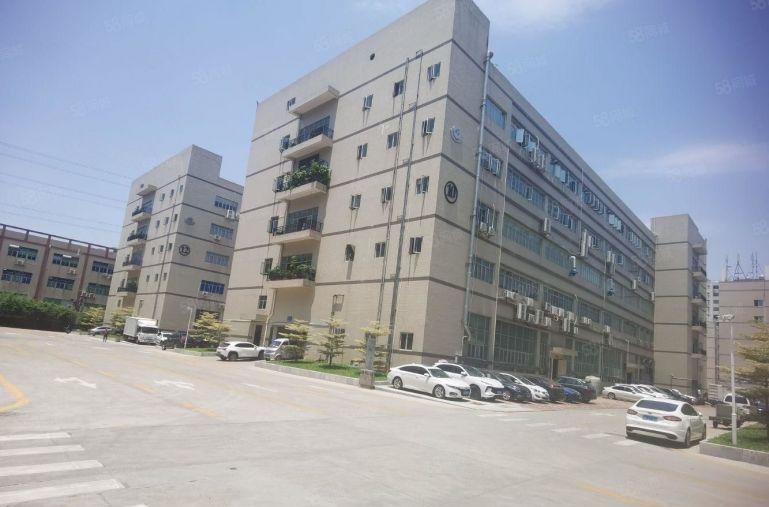 沙井原房东低价精装修600平米厂房出租办公研发电商仓库工业园