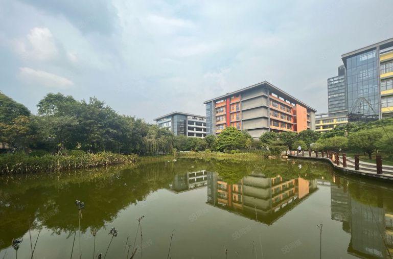 深圳国资委 独栋8000平可分租 有补贴无公摊低价厂房出租