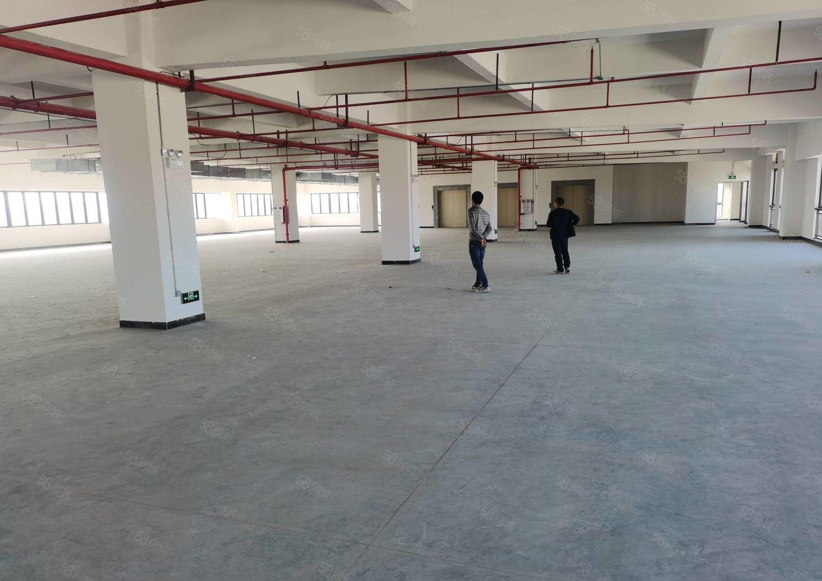 福永会展附近原房东300平至7500平低价仓库厂房出租