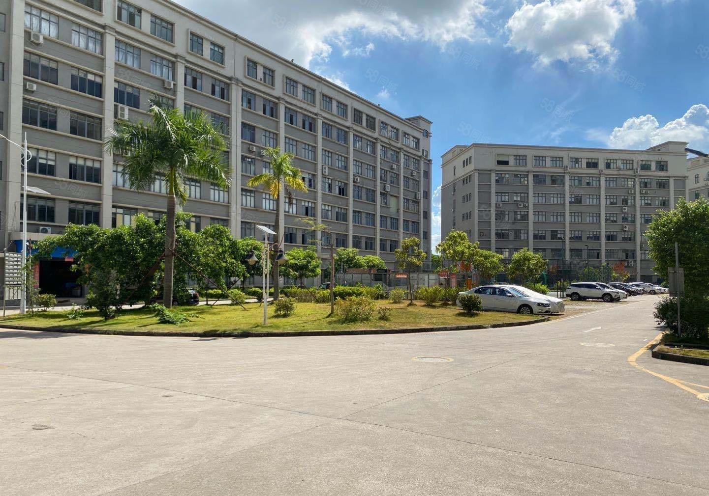 光明桃花创新园80至8000平精装研发办公室仓库厂房出租