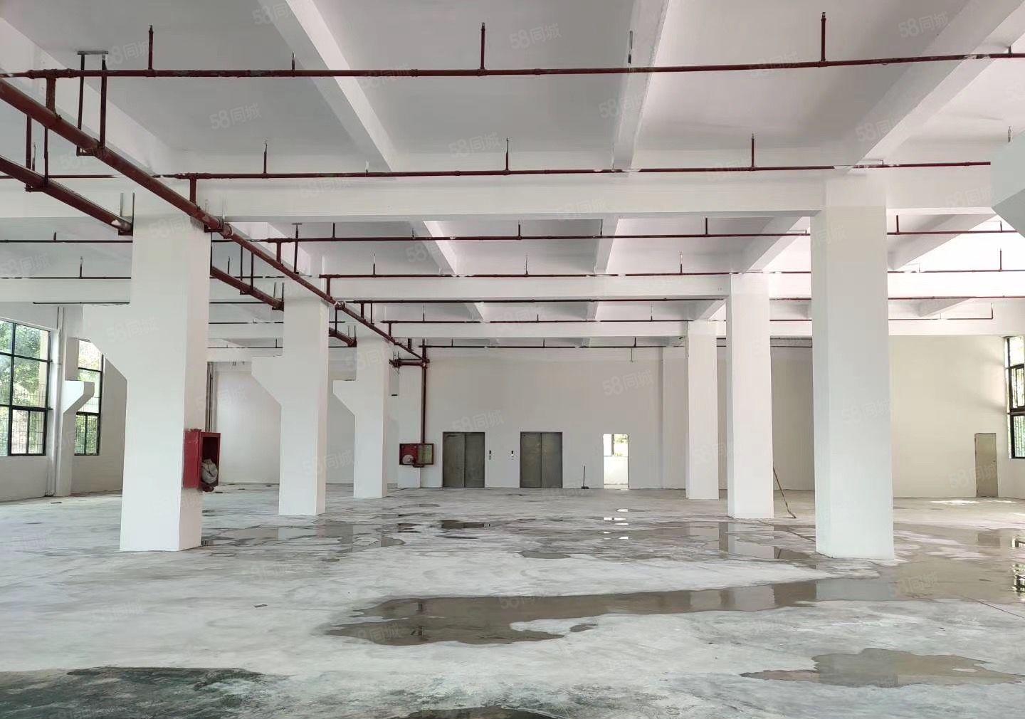 石岩塘头机荷高速出口新出一二楼单层面积3300平方一层