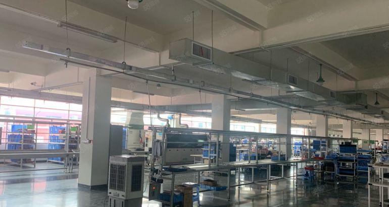 一楼石岩厂房出租内空400至2000平带装修工业园原房东