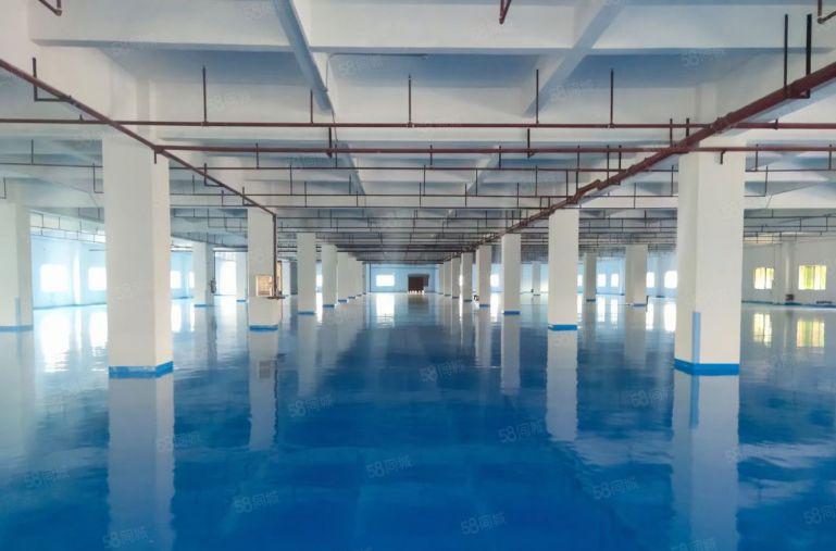 西乡国企直租200到4000平大小分租办公室仓库重型厂房出租