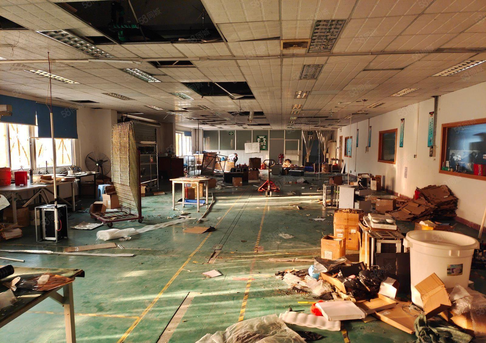 沙井大王山大型工业园新空楼上半层550平精装修厂房