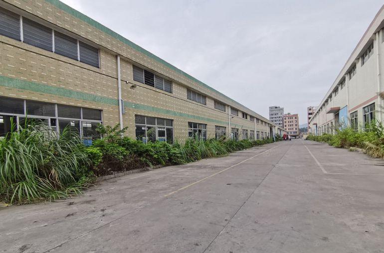 松岗107国道2万平方一楼单一层钢构低价厂房仓库出租行业不限