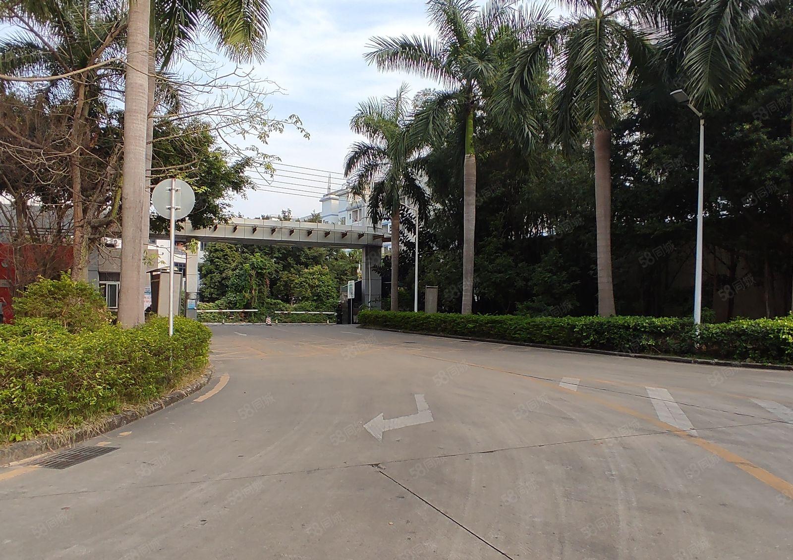 宝安沙井工业园精装修2000平方可分租500平方仓库厂房出租